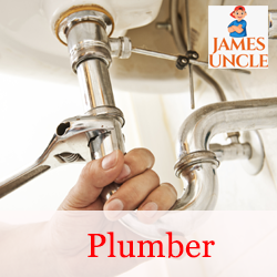 Plumber Mr. Raju Dutta in Gushkara